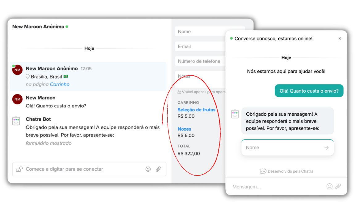 An example of a chat with a customer showing their cart contents